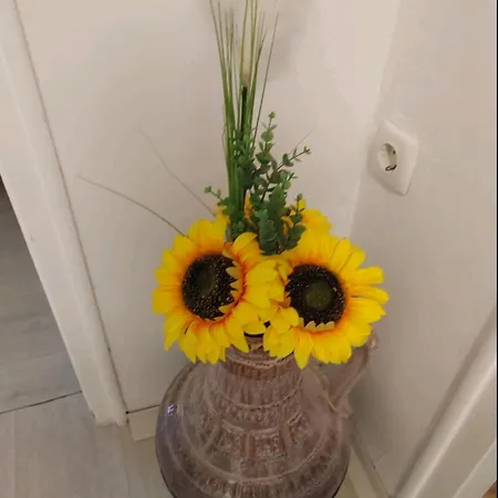 Sunshine Apartmán Rijeka